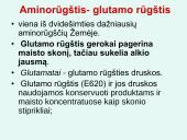 Nukleorūgštys DNR ir RNR 19 puslapis