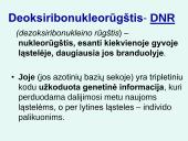 Nukleorūgštys DNR ir RNR 3 puslapis