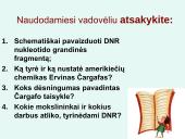 Nukleorūgštys DNR ir RNR 9 puslapis