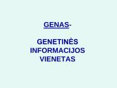 Nukleorūgštys DNR ir RNR 10 puslapis