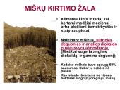 Globalinės aplinkos apsaugos problemos (skaidrės) 2 puslapis