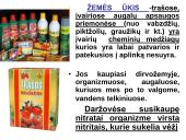 Globalinės aplinkos apsaugos problemos (skaidrės) 12 puslapis