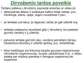 Globalinės aplinkos apsaugos problemos (skaidrės) 14 puslapis