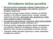 Globalinės aplinkos apsaugos problemos (skaidrės) 15 puslapis