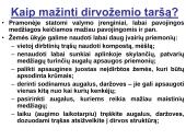 Globalinės aplinkos apsaugos problemos (skaidrės) 16 puslapis