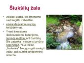 Globalinės aplinkos apsaugos problemos (skaidrės) 18 puslapis