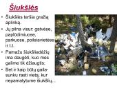 Globalinės aplinkos apsaugos problemos (skaidrės) 20 puslapis