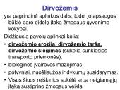 Globalinės aplinkos apsaugos problemos (skaidrės) 4 puslapis