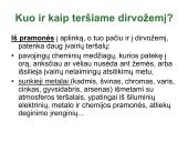 Globalinės aplinkos apsaugos problemos (skaidrės) 9 puslapis