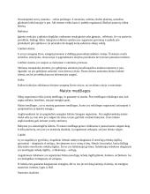 Biologijos pamokų konspektas 4 puslapis