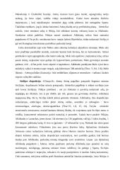 Peloponeso karai 3 puslapis