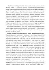 Peloponeso karai 5 puslapis