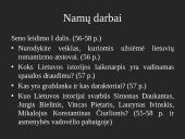 XIX a. Lietuvos visuomenė ir ekonomika 14 puslapis