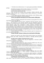 Penitencinė teisė. Konspektas 18 puslapis