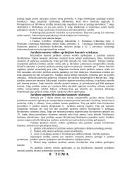 Penitencinė teisė. Konspektas 19 puslapis