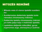 Mitozė - nelytinių ląstelių dalijimasis  9 puslapis