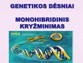 Genetika ir monohibridinis kryžminimas 9 puslapis