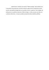 C. Schmitto politinė teologija  3 puslapis