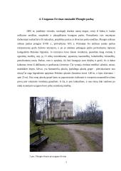 Plungės dvaro parkas 4 puslapis