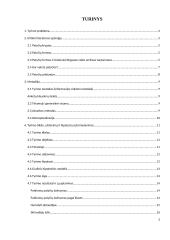 Devintų klasių moksleivių patyčių patirtis Y miesto X gimnazijoje 2 puslapis