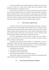 Apskaita ir finansai referatas 7 puslapis