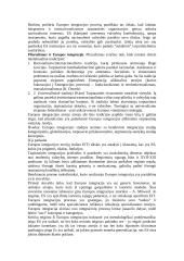 Pradinės Europos Sąjungos (ES) integracijos teorijos 4 puslapis