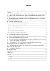 Logistikos verslo administravimas 2 puslapis