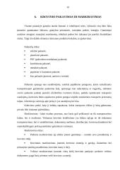 Logistikos verslo administravimas 19 puslapis