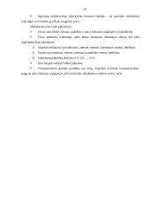 Logistikos verslo administravimas 20 puslapis