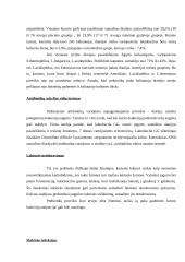 Prebiotikai ir probiotikai 3 puslapis