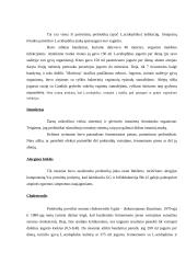 Prebiotikai ir probiotikai 4 puslapis