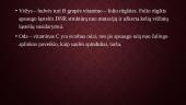 Bulvių sudėties, savybių kitimo ir vertės analizė 12 puslapis
