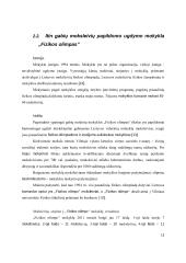 Fizikos papildomas ugdymas Lietuvoje 13 puslapis