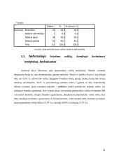 Fizikos papildomas ugdymas Lietuvoje 19 puslapis