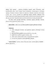 Fizikos papildomas ugdymas Lietuvoje 5 puslapis