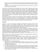 Kreditoriaus interesų gynimo būdai 4 puslapis