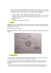 Biochemijos teorinė medžiaga 2 puslapis