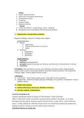 Biochemijos teorinė medžiaga 9 puslapis