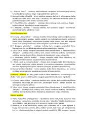 Rašinių temos su autoriais 12 puslapis