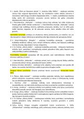 Rašinių temos su autoriais 16 puslapis