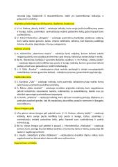 Rašinių temos su autoriais 17 puslapis