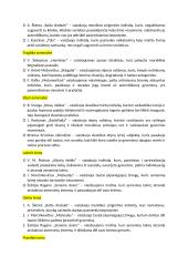 Rašinių temos su autoriais 18 puslapis