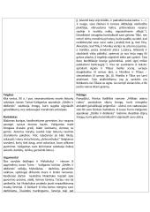 Aistringos meilės tema literatūroje (rašinio struktūra) 2 puslapis