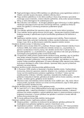 Sugebėjimai ir intelektas. Teorija 2 puslapis