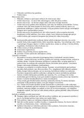 Sugebėjimai ir intelektas. Teorija 10 puslapis