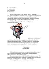 Psichologija ir jos šakos 4 puslapis