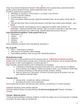 Psichologijos istorija 17 puslapis