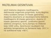 Priešgaisrinė įranga 13 puslapis