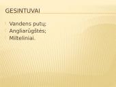 Priešgaisrinė įranga 8 puslapis