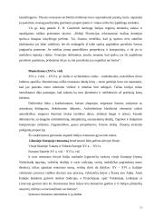 Renesanso estetika ir jos bruožai 11 puslapis